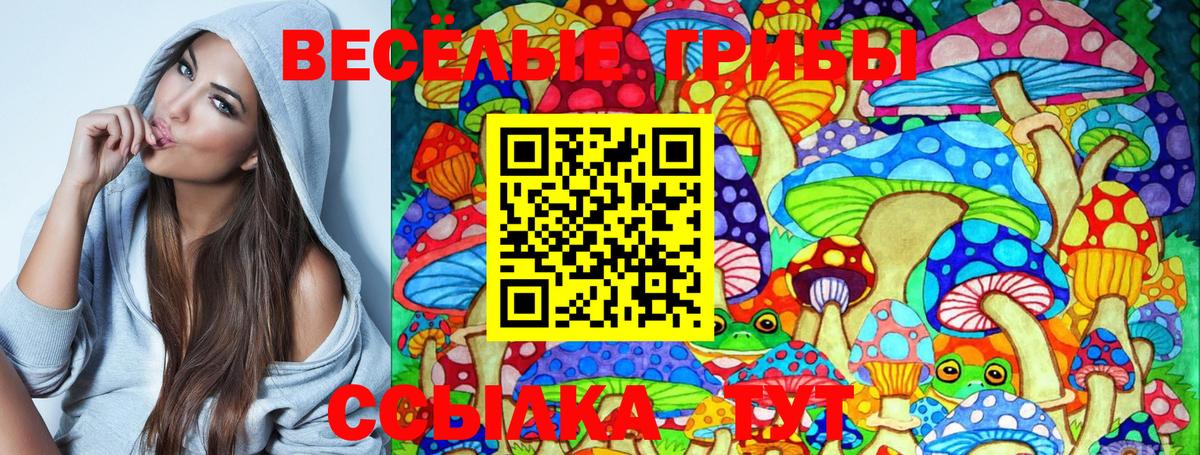 Галлюциногенные грибы Psilocybine cubensis Клин